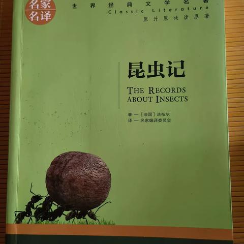 《The Records about Tnsects》八年级（2）班刘凌煊