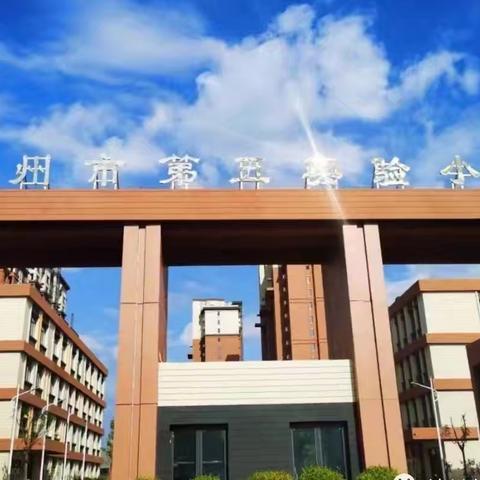 【五育并举 多彩暑假】夏宇轩的暑假生活展