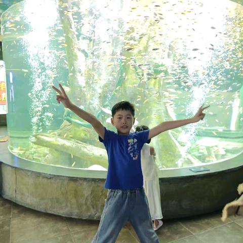 【五育并举 多彩暑假】夏宇轩的暑假生活展