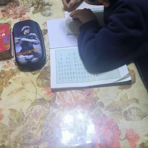 兰化一校·九十一中·二年级一班［赵康源］冬之品主题实践活动