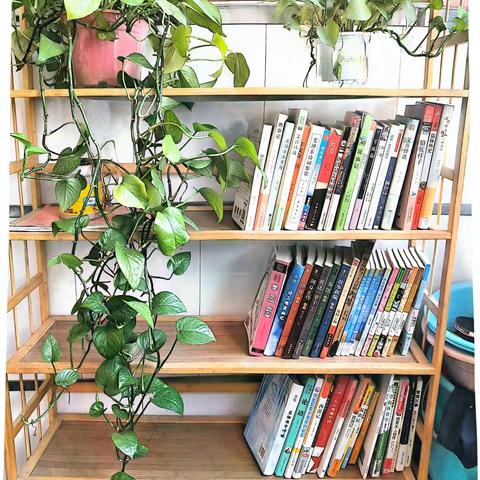 “书海泛舟，心灵归宿”——咸阳梦圆职业学校教室图书角