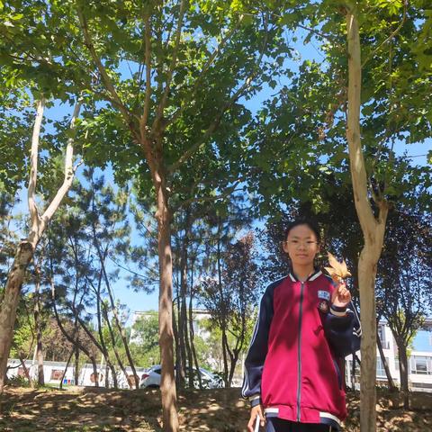 邂逅一片落叶-七年级12班