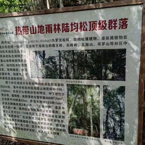 【简篇】霸王岭旅游区两曰游 (3)