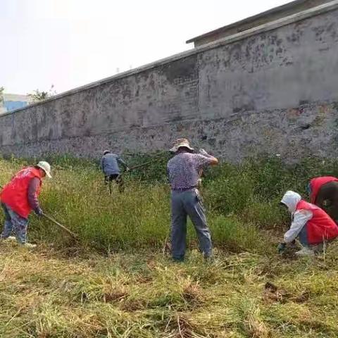 钢城区南部新城齐心协力迎接国家卫生城市复审