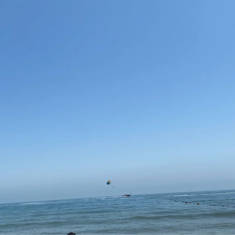 海边微风起，等风也等你