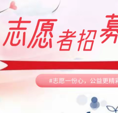 志愿者招募