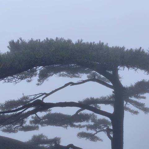 雨中登黄山