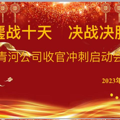 《大干十天 冲刺收官》青河公司启动会