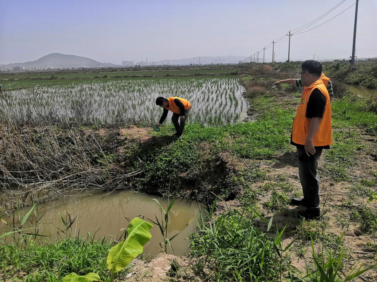 简篇-汕头市农产品质量安全中心、驻金浦街道帮镇扶村工作队及“百千万工程”农业科技特派员进村开展红火蚁防治指导工作