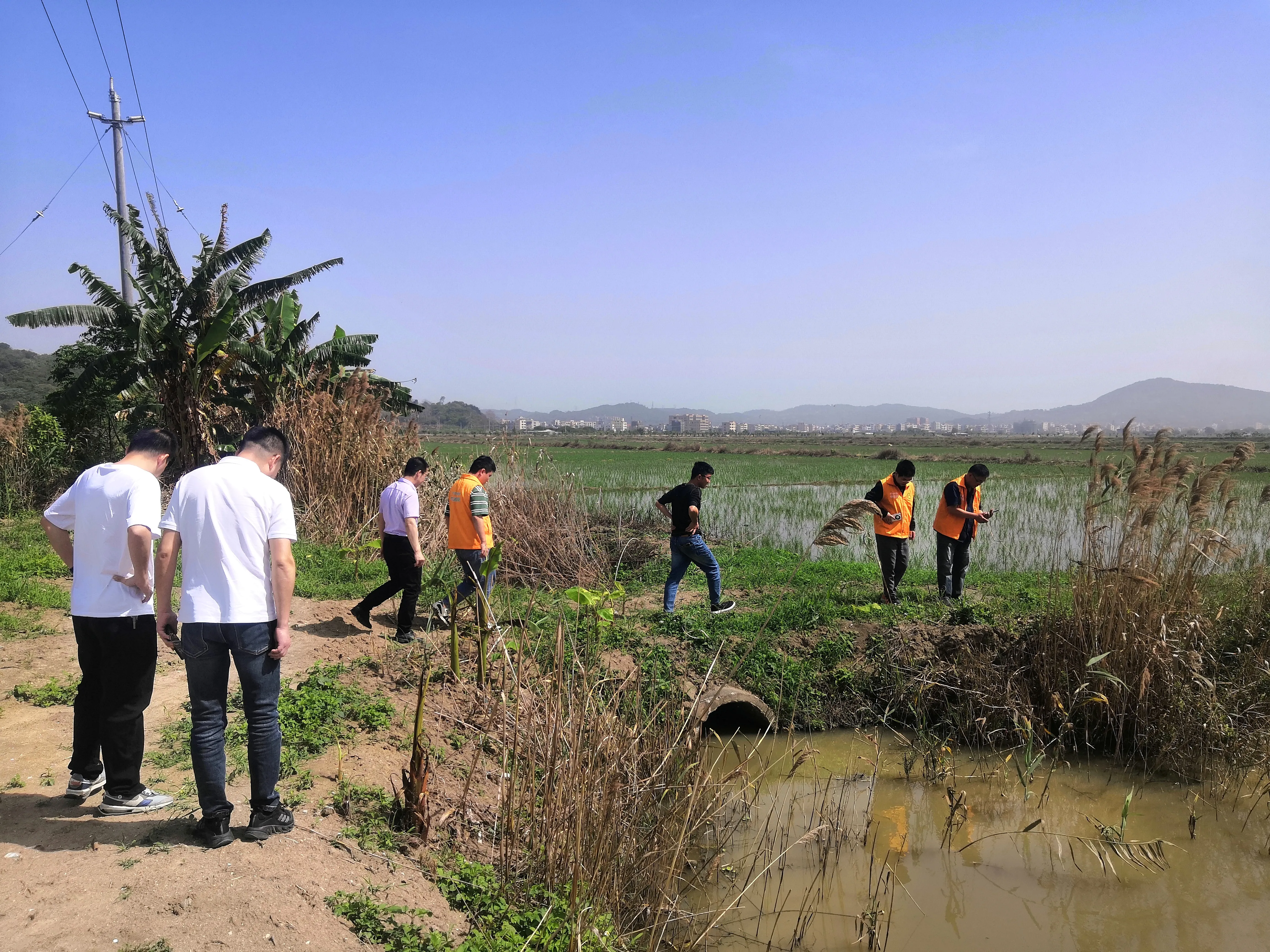 简篇-汕头市农产品质量安全中心、驻金浦街道帮镇扶村工作队及“百千万工程”农业科技特派员进村开展红火蚁防治指导工作