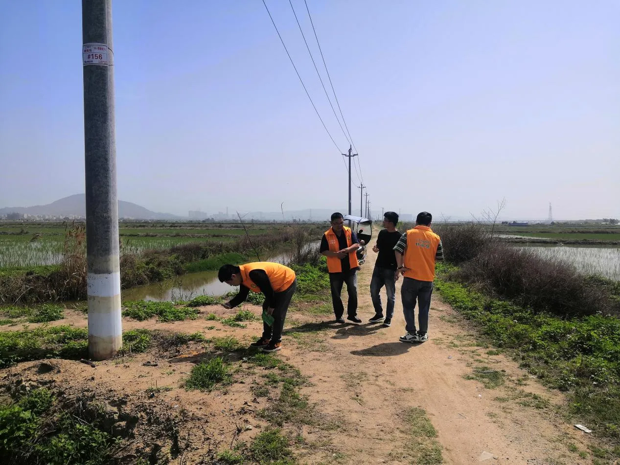 简篇-汕头市农产品质量安全中心、驻金浦街道帮镇扶村工作队及“百千万工程”农业科技特派员进村开展红火蚁防治指导工作