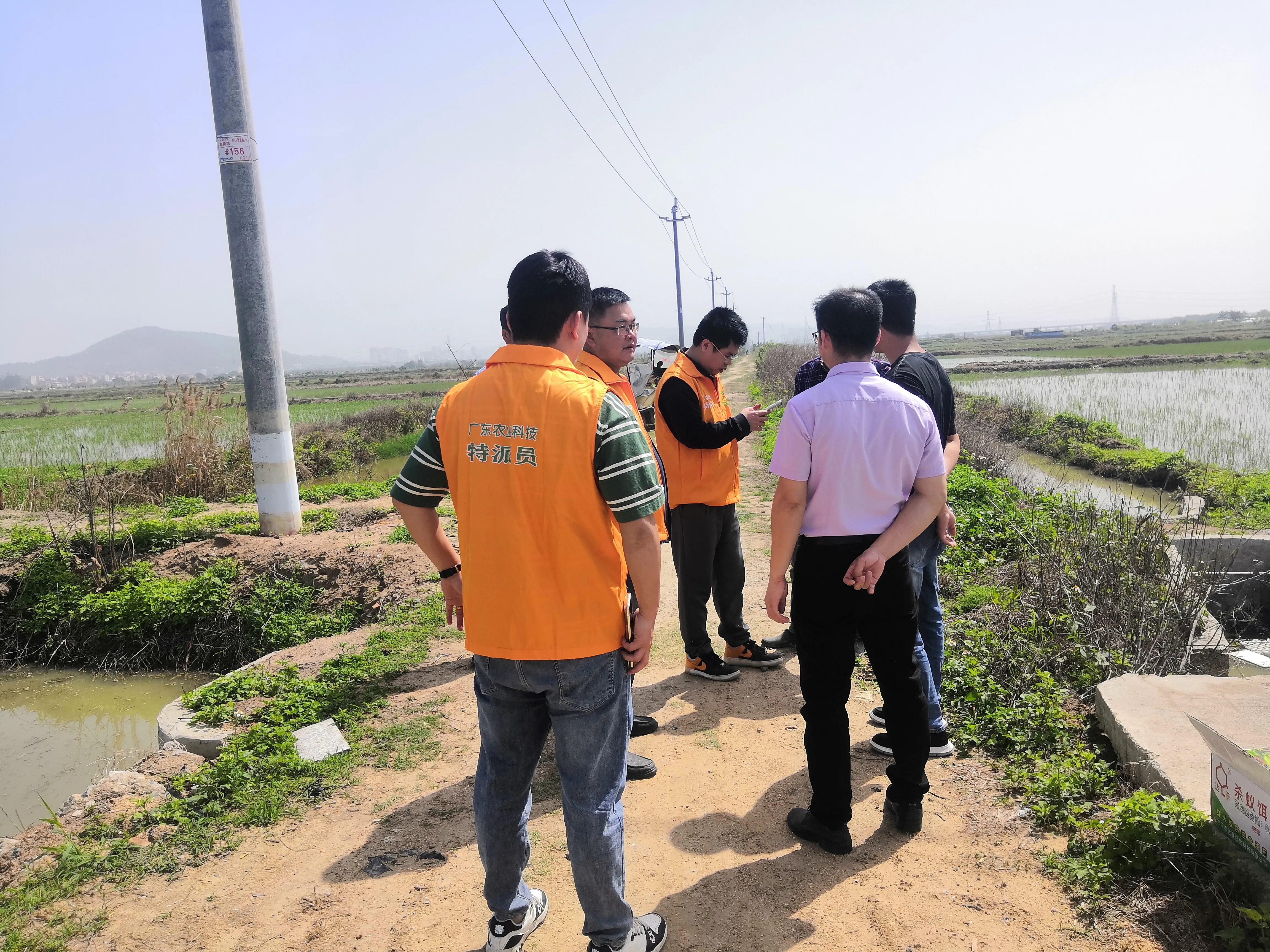 简篇-汕头市农产品质量安全中心、驻金浦街道帮镇扶村工作队及“百千万工程”农业科技特派员进村开展红火蚁防治指导工作