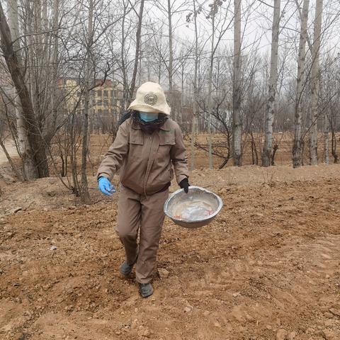 藏粮于地藏粮于技黄南州稳步推进种业新质生产力
