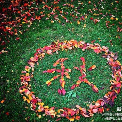 🍂秋日，秋语，亲近自然，探索秋天的秘密🍁