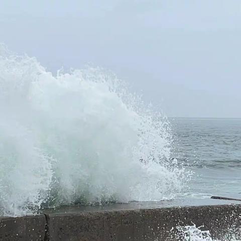 海边旅游日记