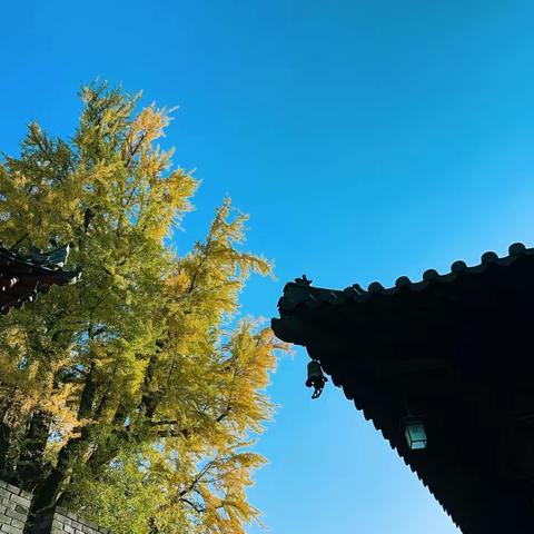 10.31西安Top豪车 | 我和秋天的约会