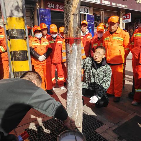 洛南环卫首次开展行道树涂白专项行动 精细化作业守护城市绿意