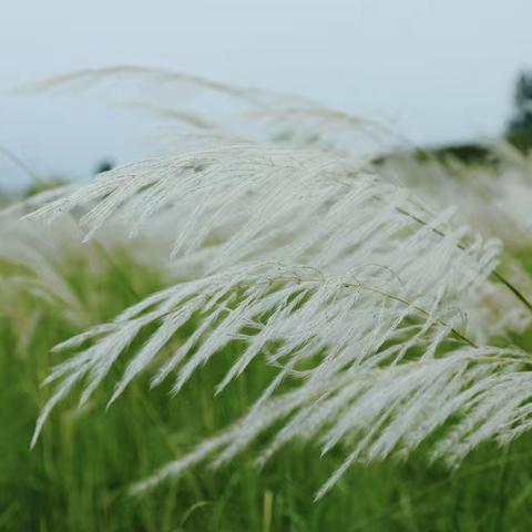 风与彩的相遇