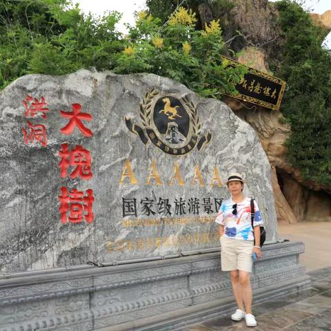 晋善晋美4️⃣洪洞大槐树