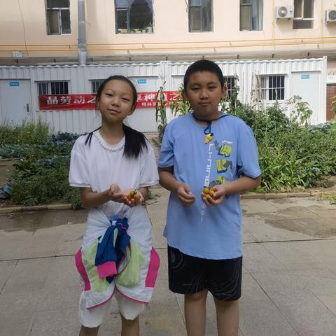 快乐播种 精心养护