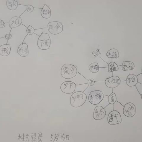 蜜蜂班同音字作业展示（2）