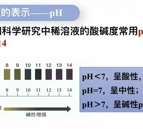 探究溶液酸碱度对果蔬颜色的影响