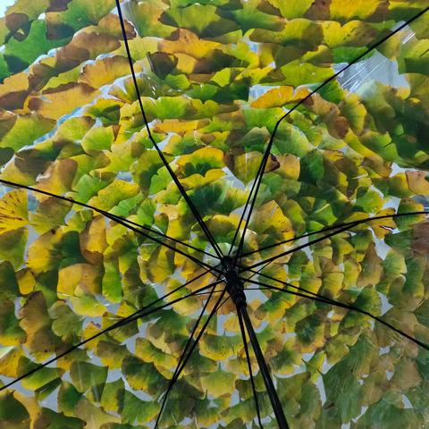 难忘的拾秋之旅