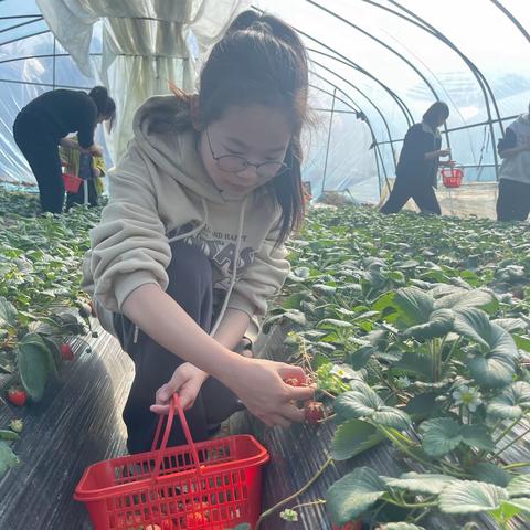 刘瑾萱2024寒假生活