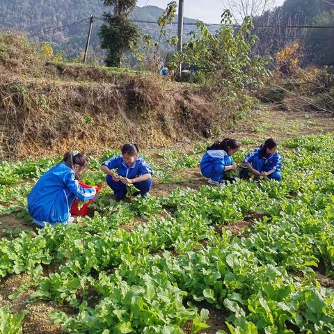 飞扬的梦想  行走的课堂         五2班研学旅行活动纪实2