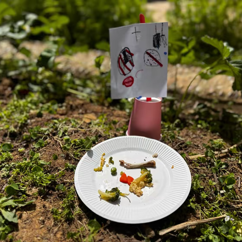 消失的蚂蚁食物