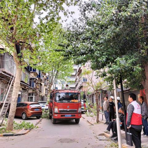 【网格日常】砍树修枝除隐患，为民服务解民忧