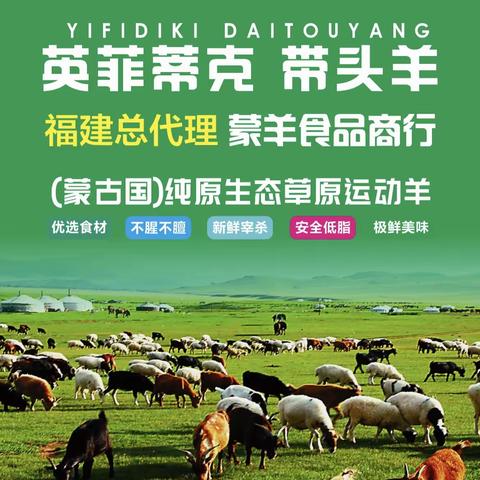 【英菲蒂克】纯原生态草原运动羊