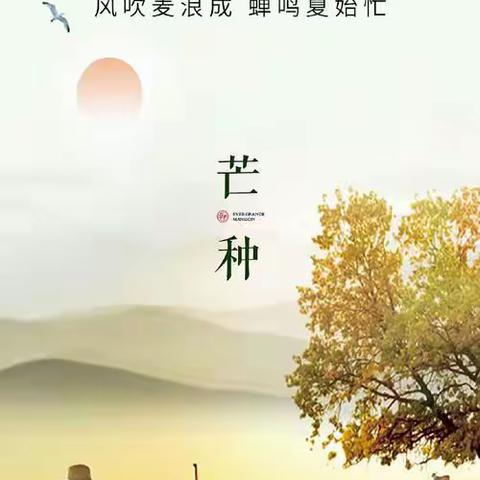 【七小·二十四节气】不慌不“芒”， 迎接“种”夏——利通区第七小学芒种节气系列二年级主题活动