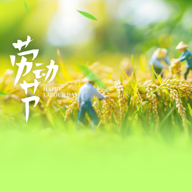 兴宁第二幼儿园中一班劳动节主题活动