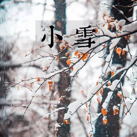 小雪雪满天，来年必丰年