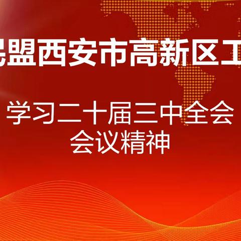 民盟西安市高新工委组织学习中共二十届三中全会精神