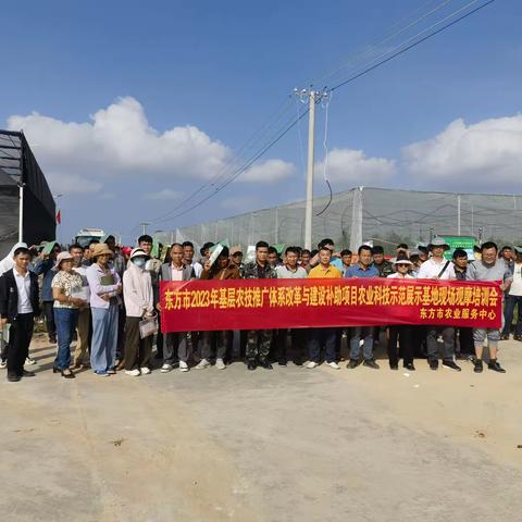 天安乡举办2023年基层农技推广体系改革与建设补助项目农业科技展示基地现场观摩培训会