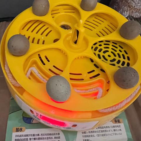 芦丁鸡孵化纪录