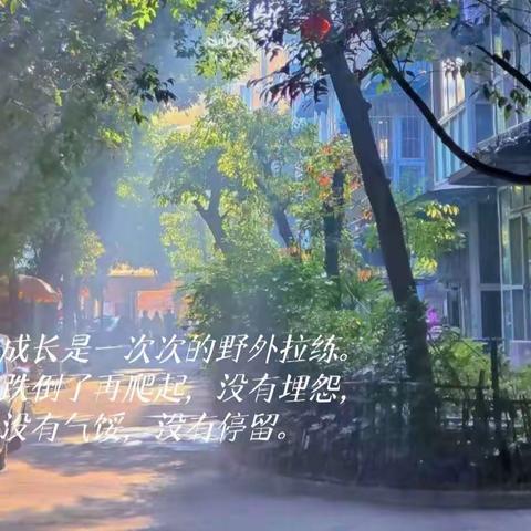 我的成长