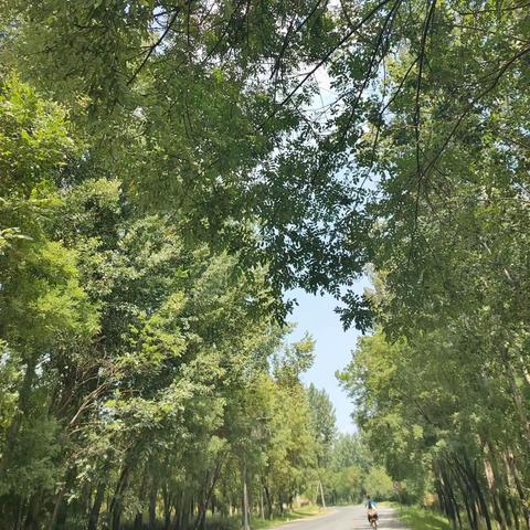 一路走来皆风景，风景一路因整治