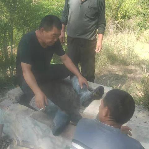 北大掌第二网格张年叶的简篇