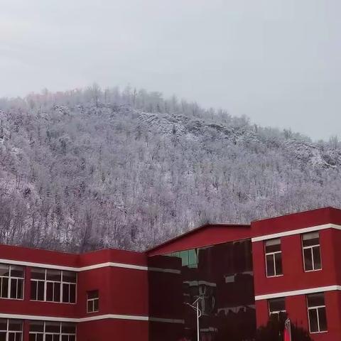 铲雪除冰保安全 家校携手为爱行