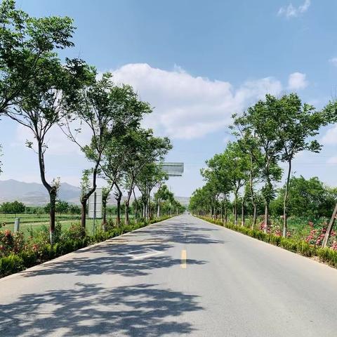 人居环境大提升 雒仵村绘就新画卷