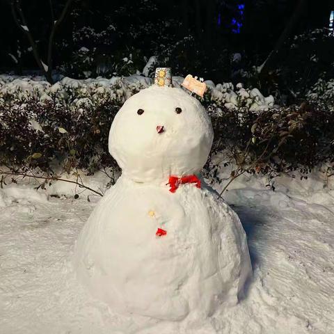 乐享寒假  “龙”重登场—梅花中心小学一、二年级寒假好作业第二周成果展示