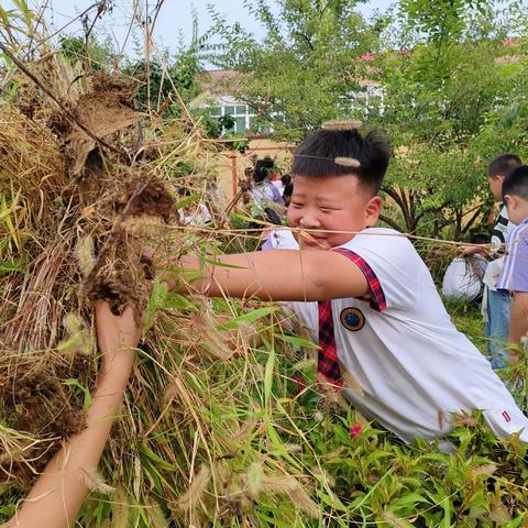 师生齐上阵，共建美校园——西铺中心小学劳动教育实践活动