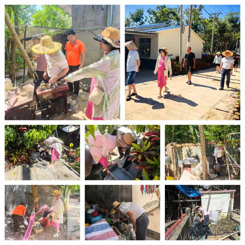 天安乡：多维度推进爱国卫生运动，构筑健康安全防线