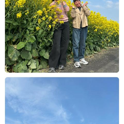 天门店晓晓的简篇