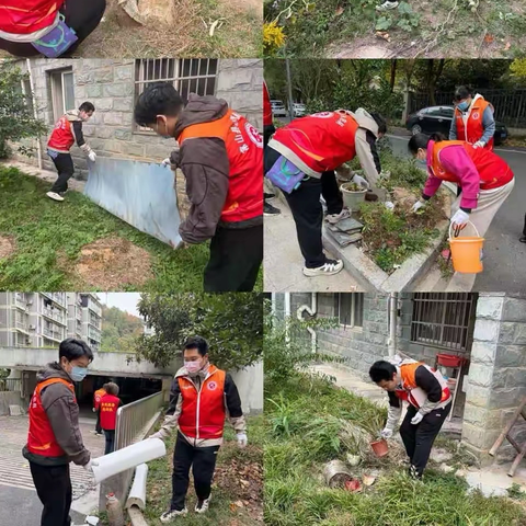 文明润万家，携手筑美好——紫港社区环境整治正在进行