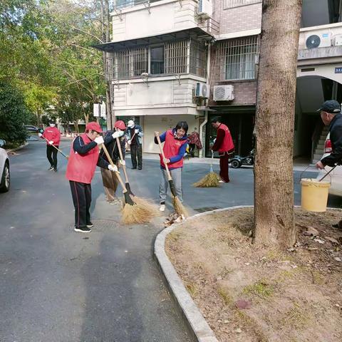 紫港社区：从“堵心杂乱”到“清爽宜居”