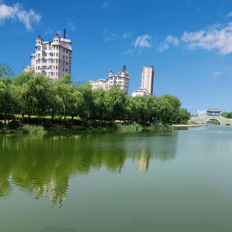 创城在行动|洁净金乡你我共享